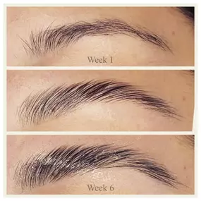 Long Lasting Brow Lamination Spa - Waters Aesthetics in Phoenix, AZ