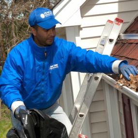 Bild von Prime Time Window Cleaning