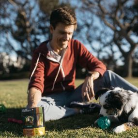 Bild von All Paws Essentials CBD for Dogs and Cats