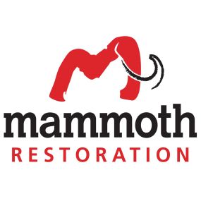 Bild von Mammoth Restoration Arizona