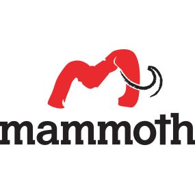 Bild von Mammoth Restoration Arizona