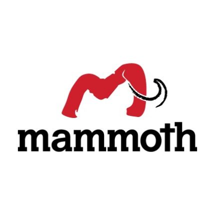Logo von Mammoth Restoration Arizona