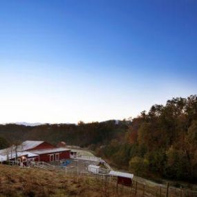 Bild von Stables Autism Program at Smoky Mountain Lodge