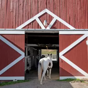 Bild von The Stables Autism Program at Pasadena Villa