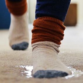 Wet Carpet Water Damage Restoration