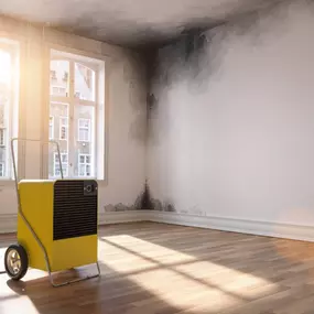 Drying & Dehumidification Services