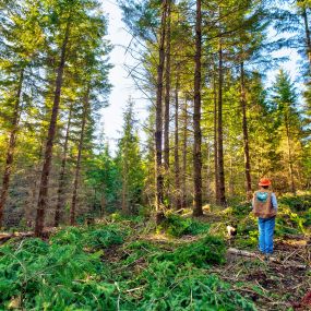 Bild von Janicki Logging & Construction