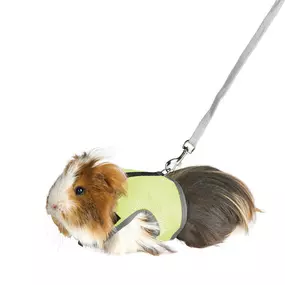Bild von Shop voor Dieren