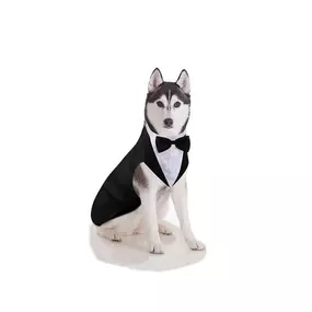 Bild von Shop voor Dieren