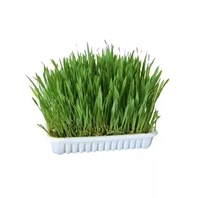 Bild von Shop voor Dieren