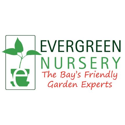 Logo fra Evergreen Nursery