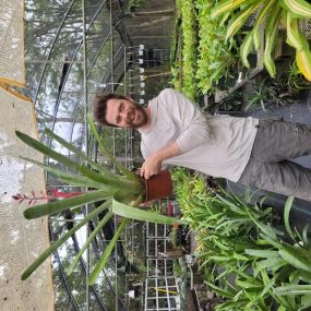 Bild von Bonita Bromeliads