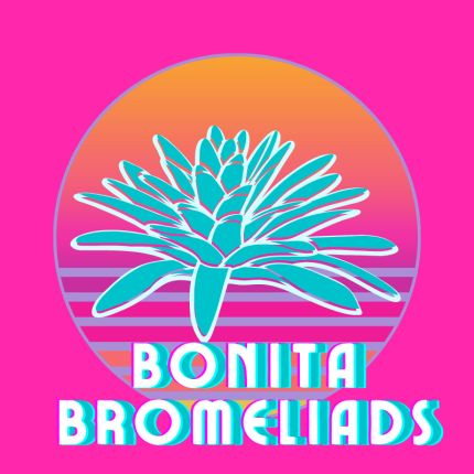 Logotipo de Bonita Bromeliads