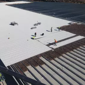 Steel Concepts Inc. excels in high-quality steel construction, delivering durable and efficient roofing systems for large-scale agricultural and industrial buildings. This image showcases the expert installation of a weather-resistant metal roof, ensuring longevity and structural integrity.