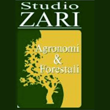 Logotyp från Studio Zari Agronomi & Forestali