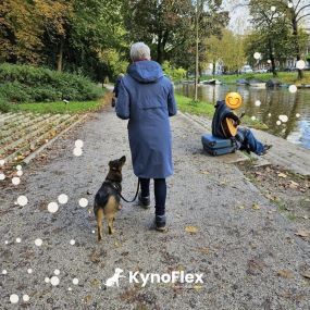 Bild von KynoFlex hondenschool & honden gedragstherapie