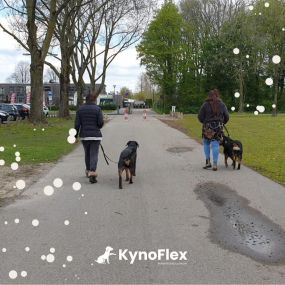 Bild von KynoFlex hondenschool & honden gedragstherapie