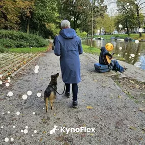 Bild von KynoFlex hondenschool & honden gedragstherapie