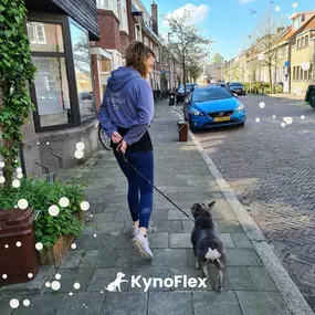 Bild von KynoFlex hondenschool & honden gedragstherapie