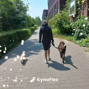 Bild von KynoFlex hondenschool & honden gedragstherapie