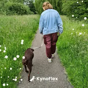 Bild von KynoFlex hondenschool & honden gedragstherapie