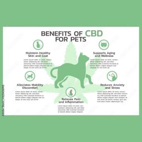 Bild von CBD 4 Life Hemp & Wellness