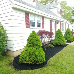 Landscape Installs & Maintenance