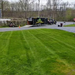 Lawn Maintenance