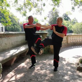 Bild von WING CHUN KUNG FU STRASBOURG