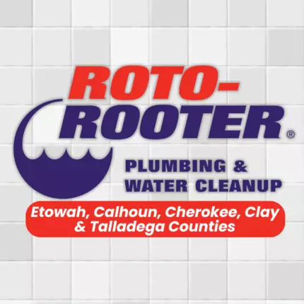 Logo de Roto-Rooter Plumbing and Water Cleanup