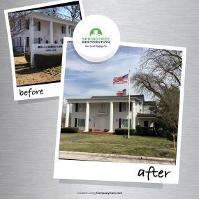 Springtree Restoration Before and After Project Promotion