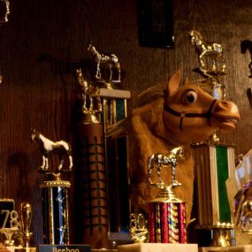 Horse Dive Bar - Trophies