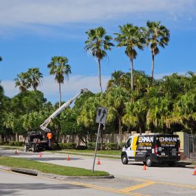 Setting up some new light poles.