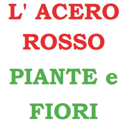 Logotyp från Piante e Fiori L' Acero Rosso
