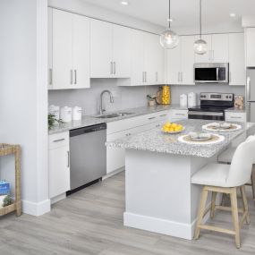 Chef-Inspired Kitchens at Everly Luxury Apartments in Naples FL