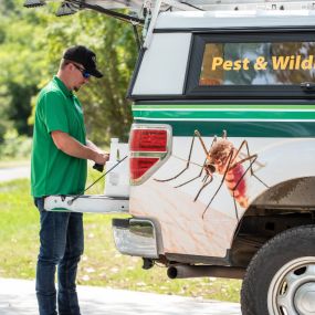 pest control, mosquito defense applications, safe and natural mosquito killer, boxelder bug spray, insect defense
