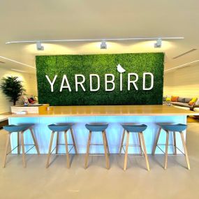 Bild von Yardbird