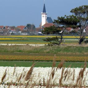 Bild von Texel Tours