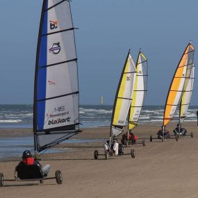 Bild von Texel Tours