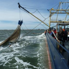 Bild von Texel Tours