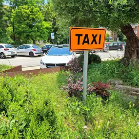 Bild von TAXI FORMIA NCC SERVICE di Alfredo Taffuri - Servizio Taxi Formia