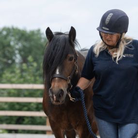 Bild von The Mare and Foal Sanctuary