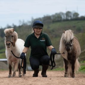 Bild von The Mare and Foal Sanctuary