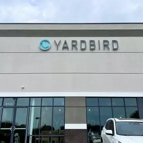 Bild von Yardbird