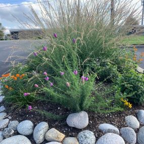 Down to Earth Services eco-friendly landscaping services.  Specializing in native plant landscaping, bioswale, hardscaping, eco-friendly landscaping management.