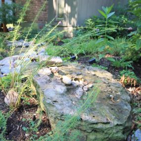 Down to Earth Services eco-friendly landscaping services.  Specializing in native plant landscaping, bioswale, hardscaping, eco-friendly landscaping management.