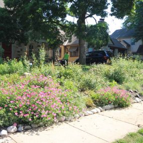 Down to Earth Services eco-friendly landscaping services.  Specializing in native plant landscaping, bioswale, hardscaping, eco-friendly landscaping management.