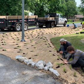 Down to Earth Services eco-friendly landscaping services.  Specializing in native plant landscaping, bioswale, hardscaping, eco-friendly landscaping management.