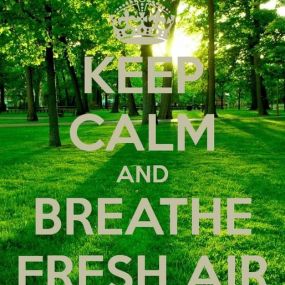 Although we welcome the spring weather, we could do without some of the allergens! Read this article for ideas on how to improve your indoor air quality and then contact us to have your air ducts cleaned. Fresh air is just a click away!
