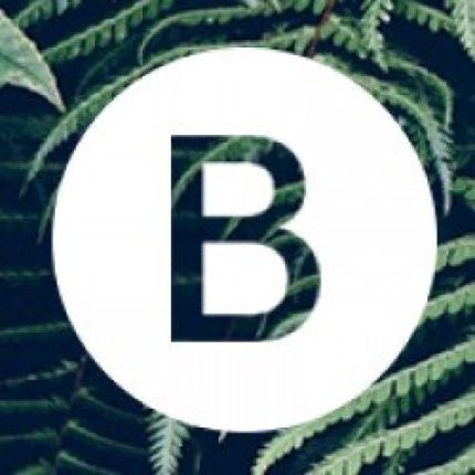 Logo de Barellani